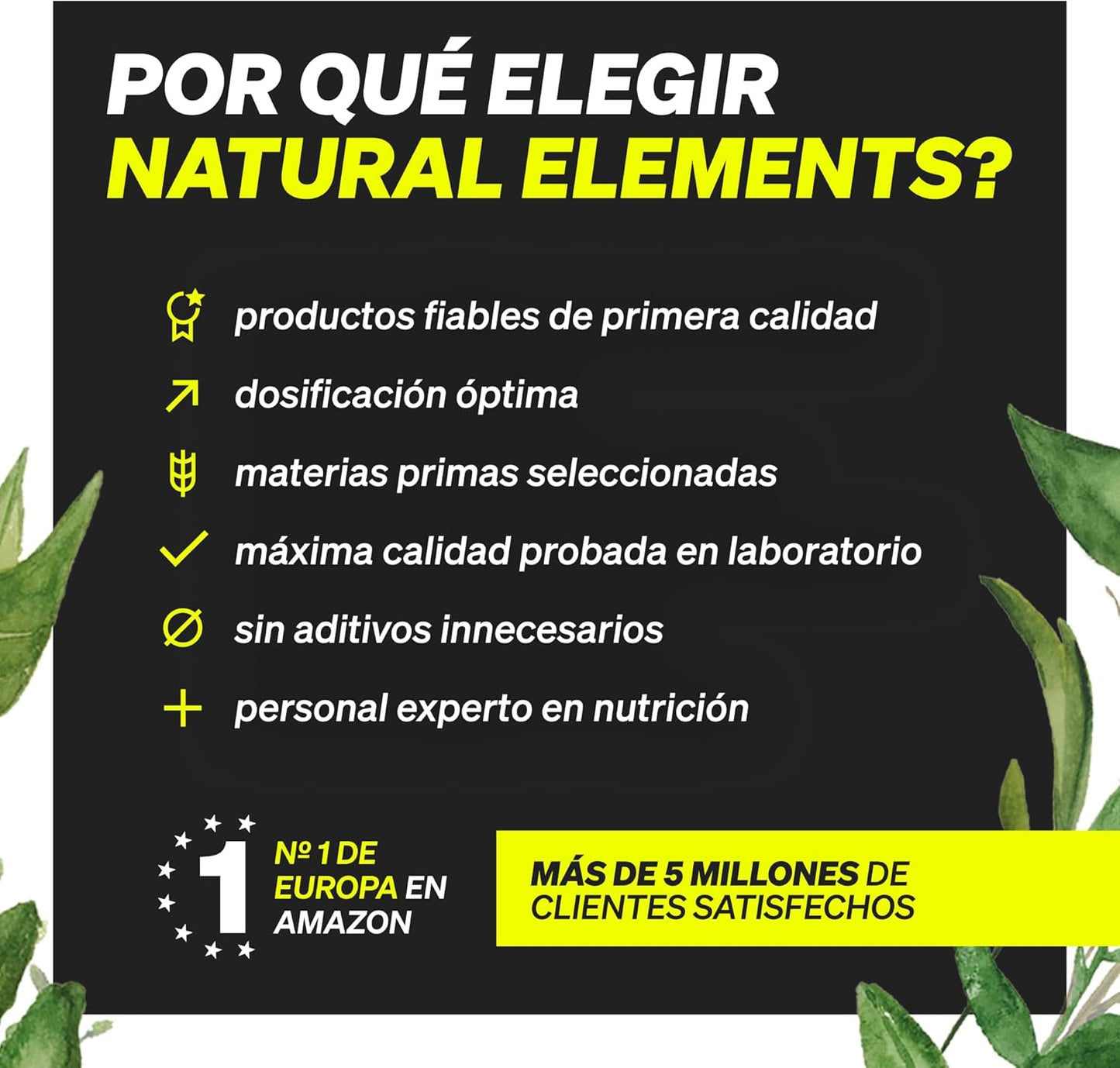Omega 3 2000Mg Por Dosis Diaria - 365 Cápsulas De Omega-3 - Máxima Concentración De DHA 240Mg Y EPA 360Mg - Probada En Laboratorio Y Fabricada En Alemania